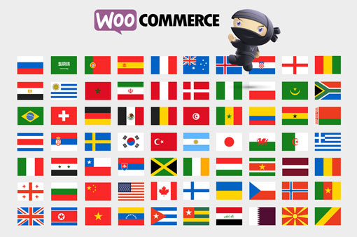 How to Translate WooCommerce Order Emails